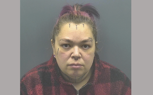 In this photograph, a woman with a high ponytail and highlights of purple in her hair faces the camera. She wears a checkered pullover and displays several tattoos across her face and neck, as well as facial piercings, all set against a plain gray backdrop.